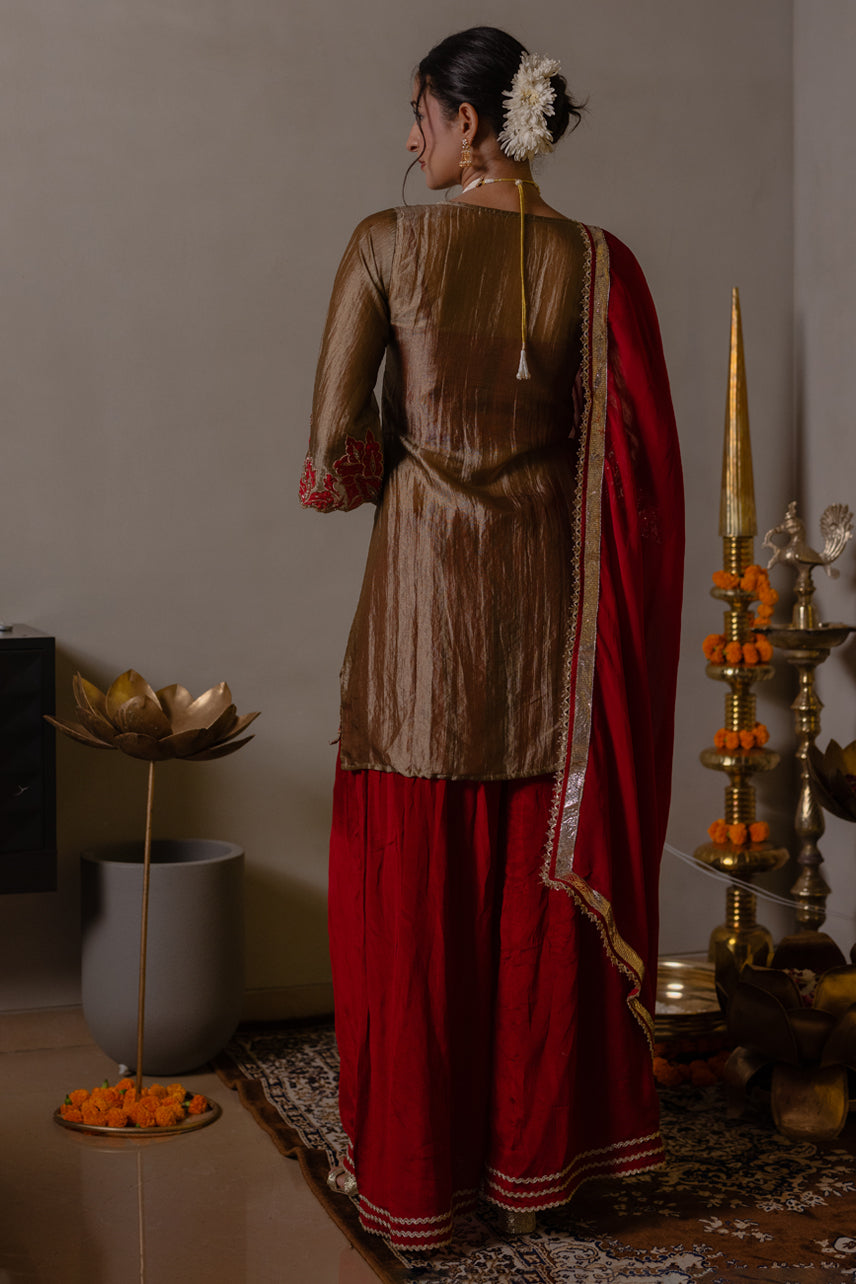 Mehrun-Sharara Set